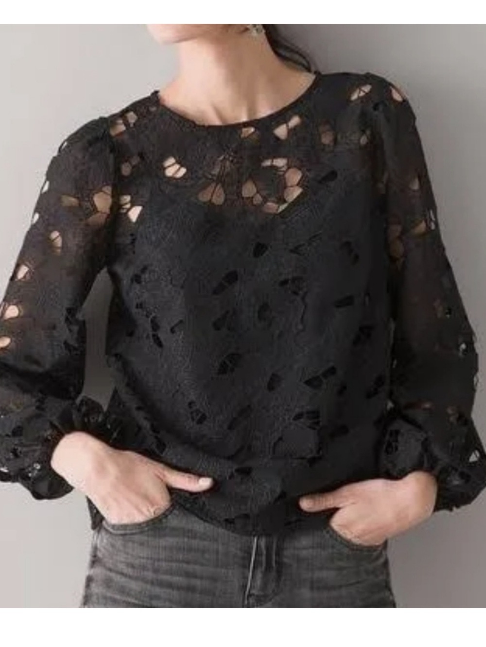 White House Black Market Long Sleeve Butterfly Blouse NWT